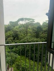 Normanton Park (D5), Apartment #522517301